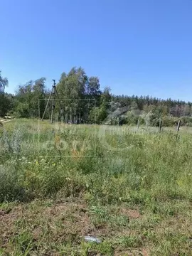 Участок в Воронежская область, Новоусманский район, с. Орлово ул. ...