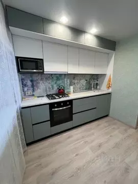 1-к кв. Нижегородская область, Нижний Новгород ул. Челюскинцев, 23 ...