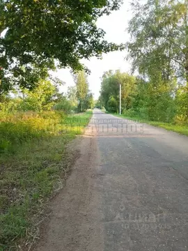 Участок в Смоленская область, Руднянский муниципальный округ, д. ...