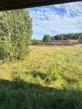 Участок в Омская область, Омский район, с. Красноярка ул. Мичурина ...