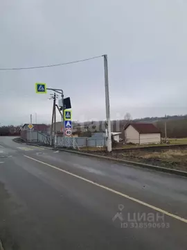 Участок в Белгородская область, Белгородский район, с. Стрелецкое ...