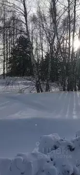 Участок в Московская область, Орехово-Зуевский городской округ, д. ...