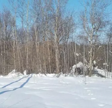 Участок в Московская область, Дмитровский муниципальный округ, д. ...