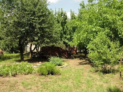 Участок в Ростовская область, Неклиновский район, Синявское с/пос, ...