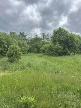Участок в Московская область, Ступино городской округ, с. Старая Ситня ...
