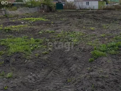 Участок в Омск, территория СОСН Энергия (5.65 м)