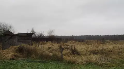 Участок в Московская область, Рузский муниципальный округ, д. Лидино  ...