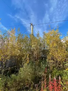 Участок в Ямало-Ненецкий АО, Салехард Брусничный мкр, 14 (6.0 сот.)