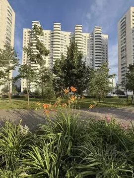 1-к кв. Москва Перекопская ул., 34к3 (36.7 м)