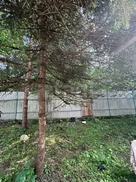 Участок в Москва Лель СНТ, 17с1 (8.0 сот.)
