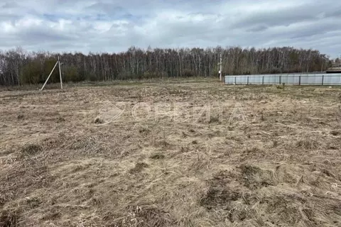 Участок в Тюменская область, Тюмень Энергостроитель СНТ, ул. Рябинушка ...