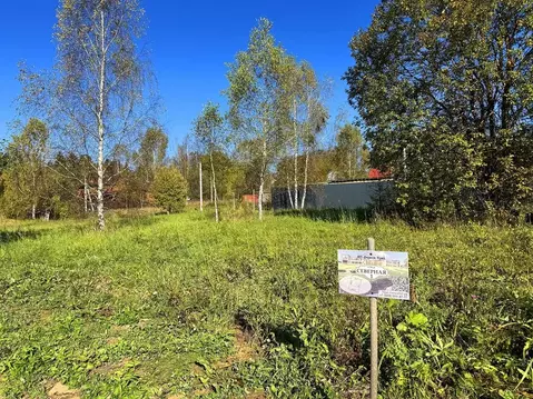 Участок в Московская область, Дмитровский муниципальный округ, Форест ...