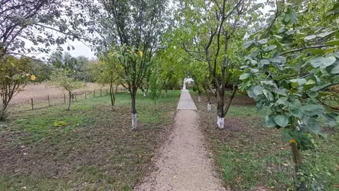 Участок в Краснодарский край, Динской район, Новотитаровская ст-ца ...