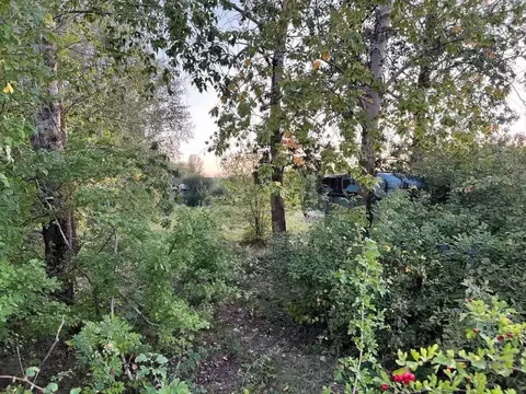 Участок в Белгородская область, Яковлевский муниципальный округ, ...