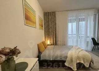 Студия Санкт-Петербург пос. Парголово, дор. Михайловская, 6 (29.4 м)