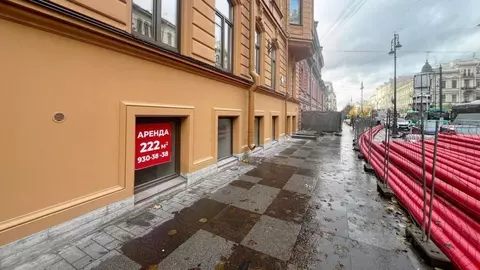 Помещение свободного назначения в Санкт-Петербург ул. Чайковского, 61 ...