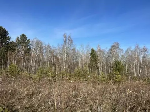 Участок в Иркутская область, Иркутский муниципальный округ, с. ...