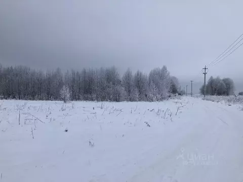 Участок в Ленинградская область, Гатчинский муниципальный округ, д. ...
