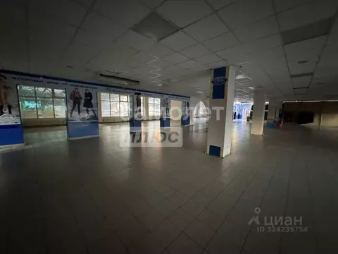 Помещение свободного назначения в Челябинская область, Челябинск ул. 8 ...