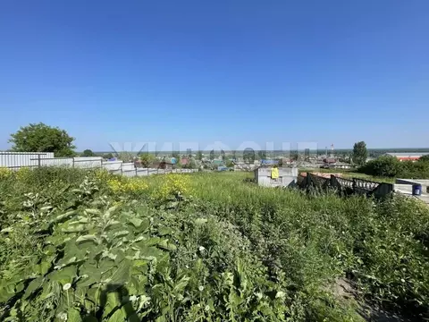 Участок в Новосибирская область, Новосибирский район, с. Плотниково ...