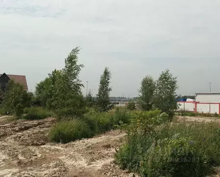 Участок в Московская область, Дмитровский муниципальный округ, д. ...