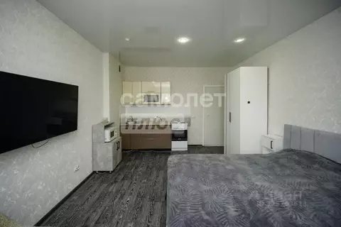 Студия Омская область, Омск ул. 5-я Линия, 227Ак2 (28.4 м)