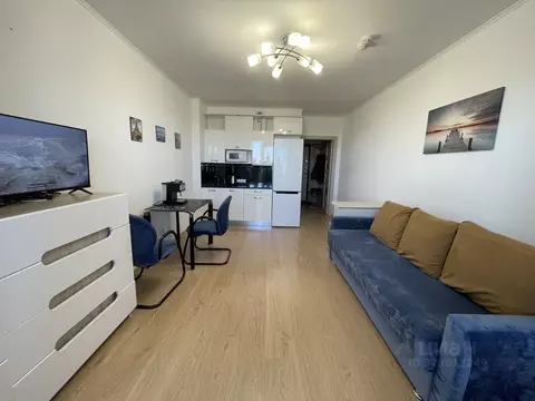 Студия Санкт-Петербург просп. Энергетиков, 9к6 (28.0 м)