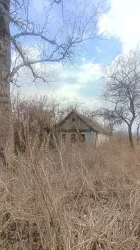 Дом в Курская область, Октябрьский район, Старковский сельсовет, д. ...