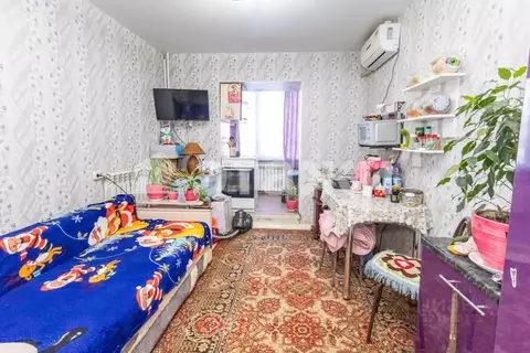 Студия Амурская область, Благовещенск КПП мкр, ул. Почтовая, 81 (21.1 ...