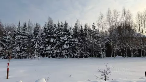 Участок в Московская область, Наро-Фоминский городской округ, Кедрица ...