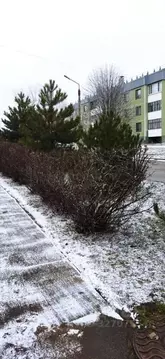 1-к кв. Воронежская область, Богучар 21 (36.5 м)