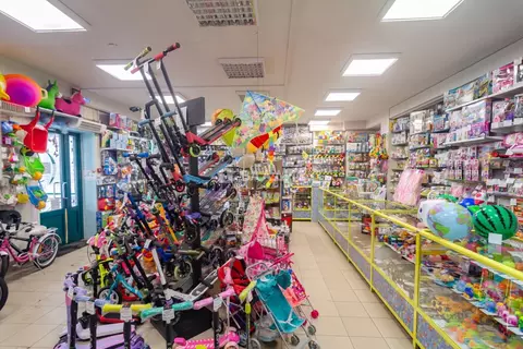 Торговая площадь в Карелия, Петрозаводск ул. Ровио, 3 (100 м)