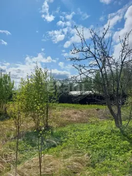 Участок в Костромская область, Костромской район, Чернопенское с/пос, ...