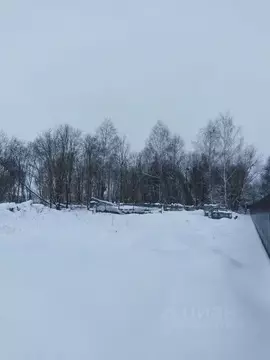 Участок в Московская область, Раменский муниципальный округ, с. ...