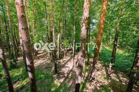 Участок в Московская область, Одинцовский городской округ, д. Бородки, ...