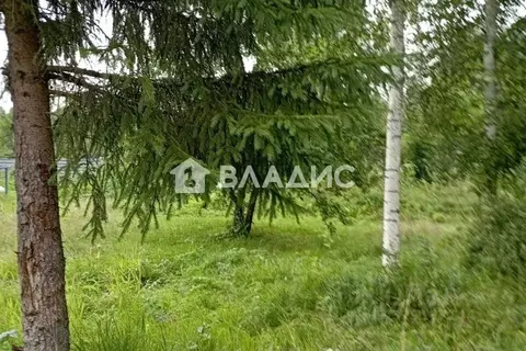Участок в Ленинградская область, Кингисеппский район, Опольевское ...
