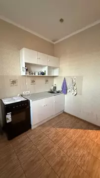 1-к кв. Московская область, Раменский муниципальный округ, с. Софьино ...