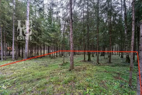 Участок в Московская область, Мытищи городской округ, Среди Своих кп  ...