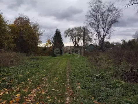 Дом в Калужская область, Мещовск городское поселение, с. Рудники ул. ...