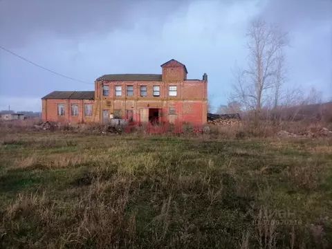 Производственное помещение в Пензенская область, Мокшанский район, с. ...