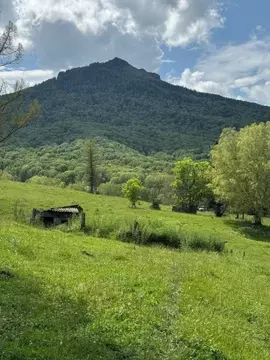Участок в Алтайский край, Солонешенский район, с. Топольное Больничная ...