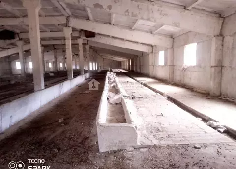 Склад в Калининградская область, Зеленоградский муниципальный округ, ...