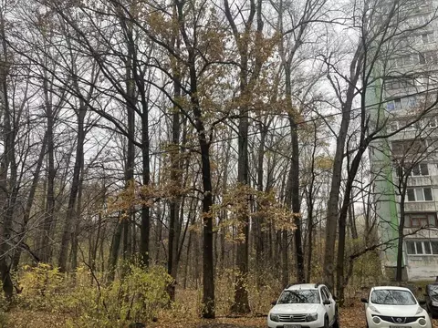 3-к кв. Самарская область, Самара ул. Стара-Загора, 305 (67.0 м)