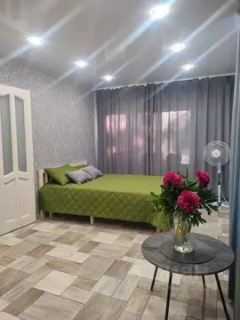 1-к кв. Псковская область, Псков ул. Максима Горького, 45 (37.0 м)