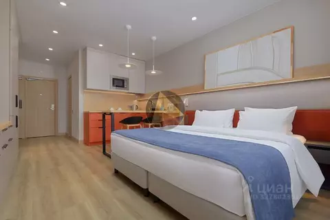 Студия Санкт-Петербург бул. Измайловский, 1к2 (43.13 м)