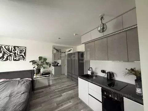 Студия Санкт-Петербург пос. Парголово, проезд Толубеевский, 24 (25.0 ...