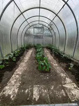 Дом в Костромская область, Костромской район, Шунгенское с/пос, с. ...