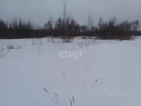 Участок в Нижегородская область, Выкса городской округ, д. Грязная  ...