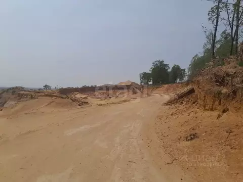 Участок в Амурская область, Серышевский муниципальный округ, с. ...