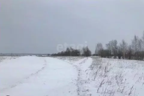 Участок в Ставропольский край, Шпаковский муниципальный округ, с. ...